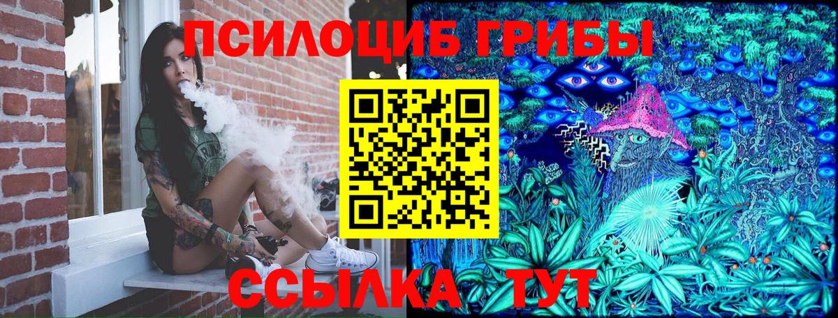 Псилоцибиновые грибы Psilocybine cubensis Острогожск